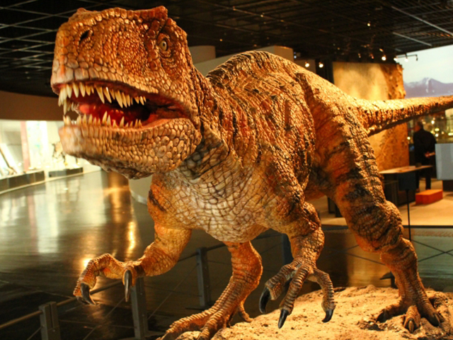 勝山恐竜博物館
